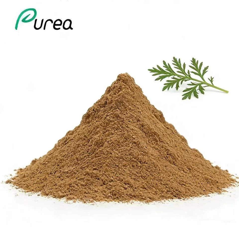 Bột chiết xuất từ nghệ Annua