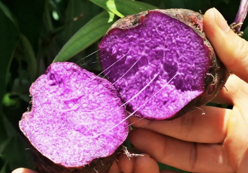 product-800-560 product-800-560