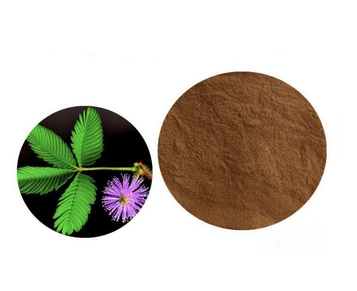 product-700-570 product-700-570