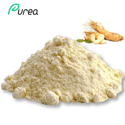 Bột chiết xuất rễ nhân sâm Panax